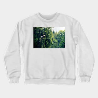 Great Blue Heron Flying Past the Trees Above Trojan Pond 2 Crewneck Sweatshirt